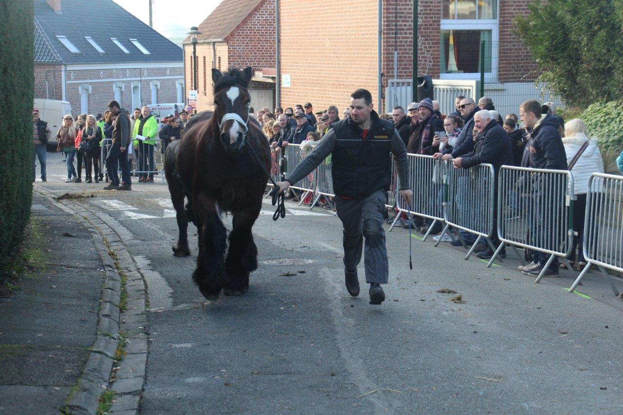 Foire aux Poulains (258)