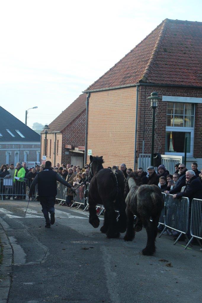 Foire aux Poulains (259)