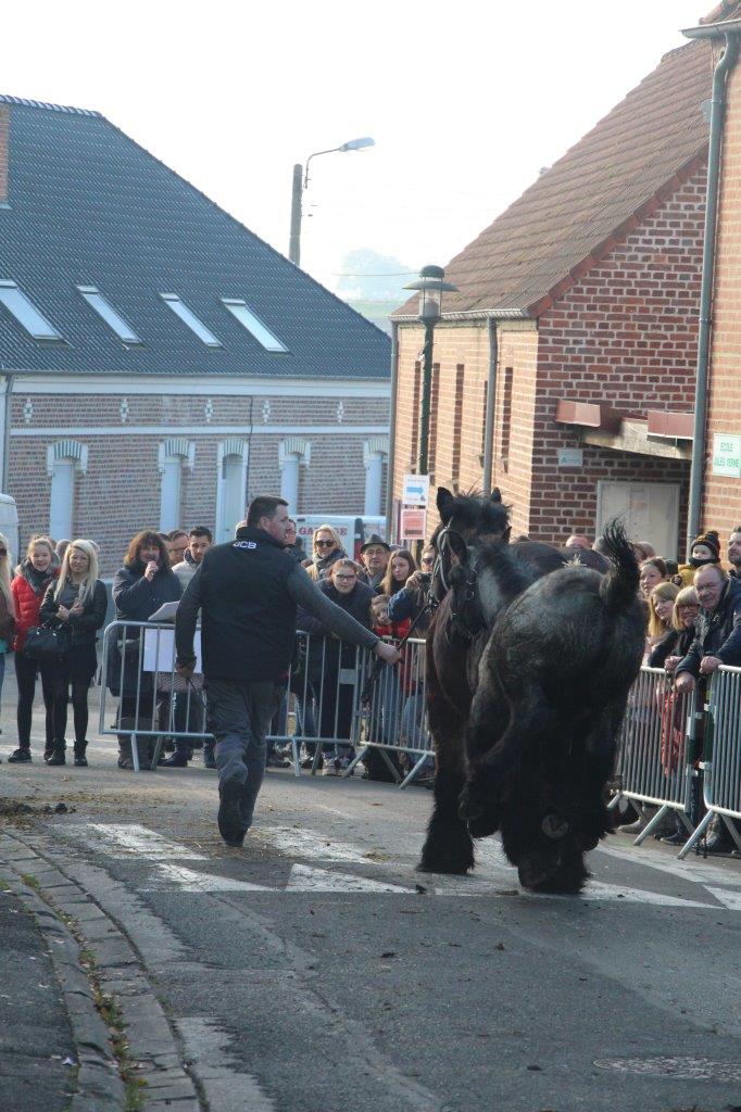 Foire aux Poulains (261)