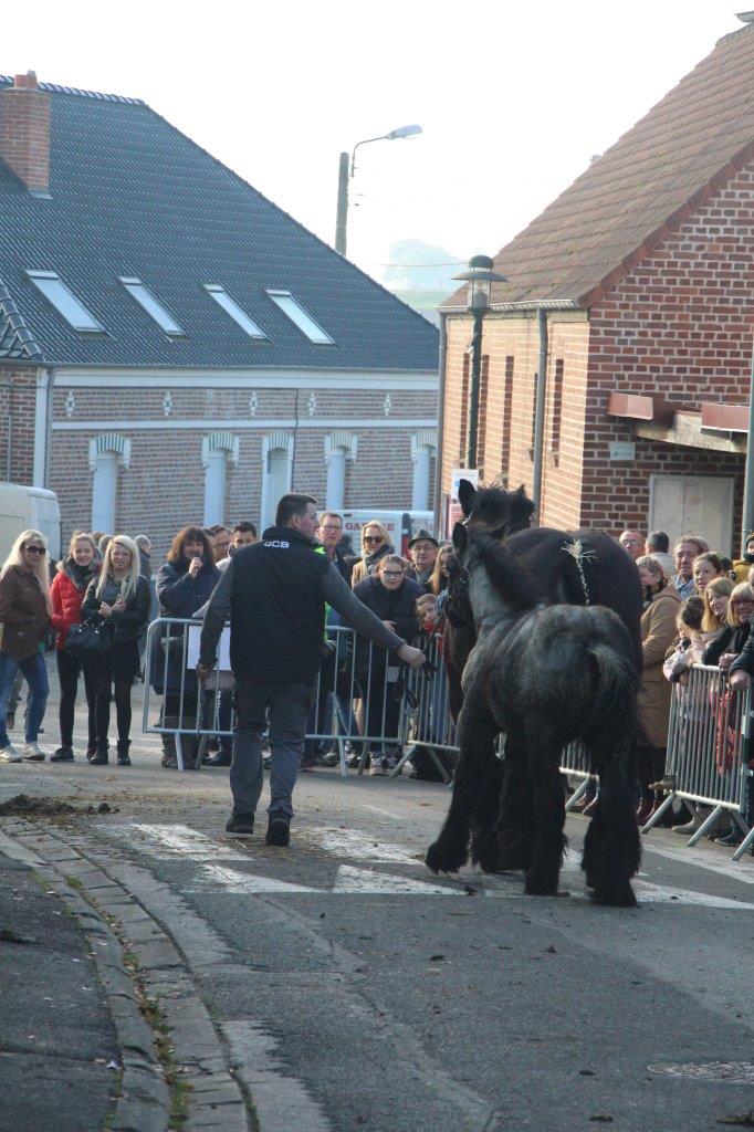 Foire aux Poulains (262)