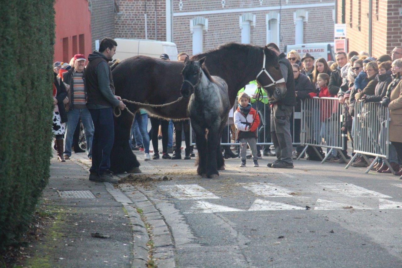 Foire aux Poulains (263)