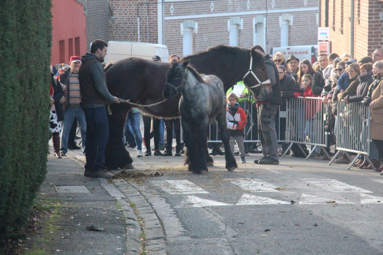 Foire aux Poulains (264)