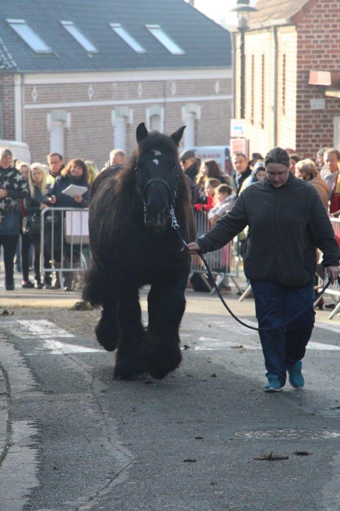 Foire aux Poulains (266)