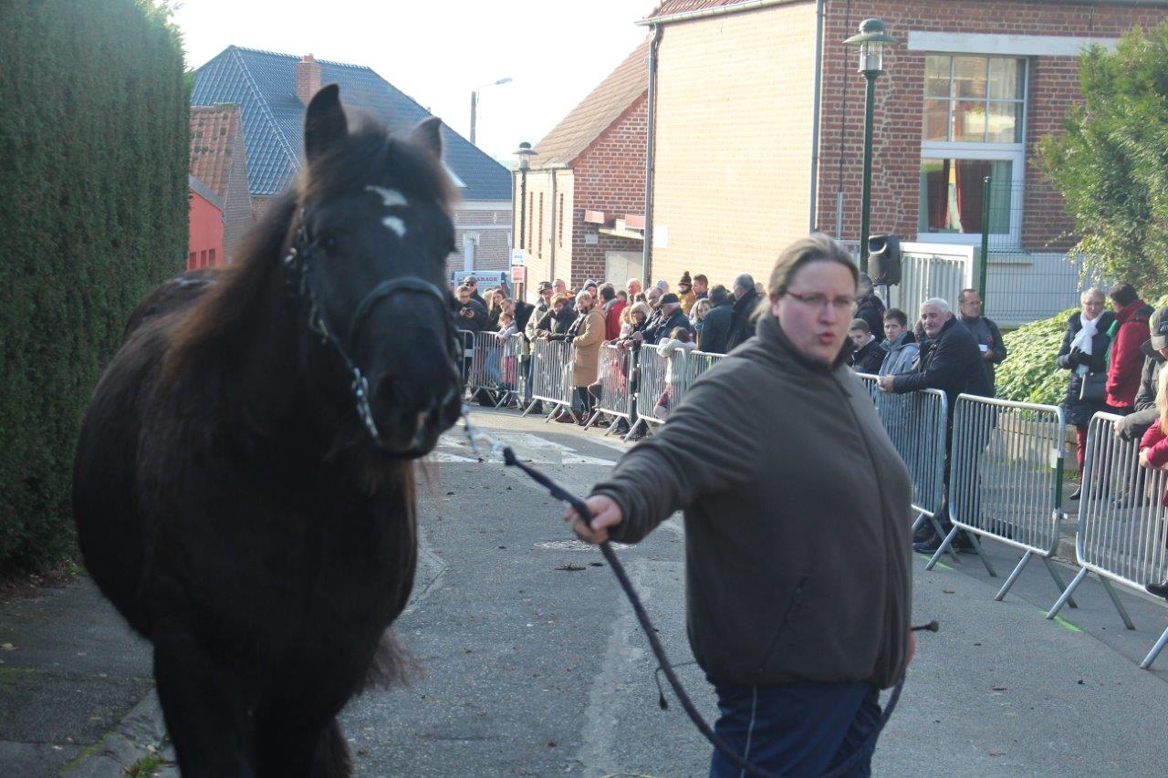 Foire aux Poulains (267)