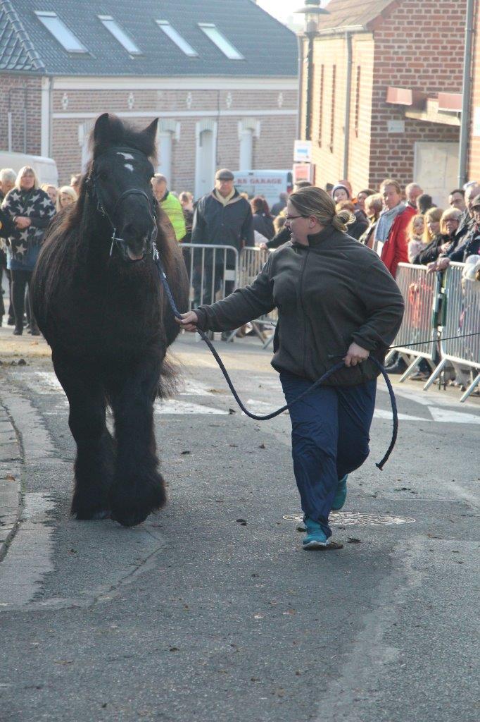 Foire aux Poulains (268)