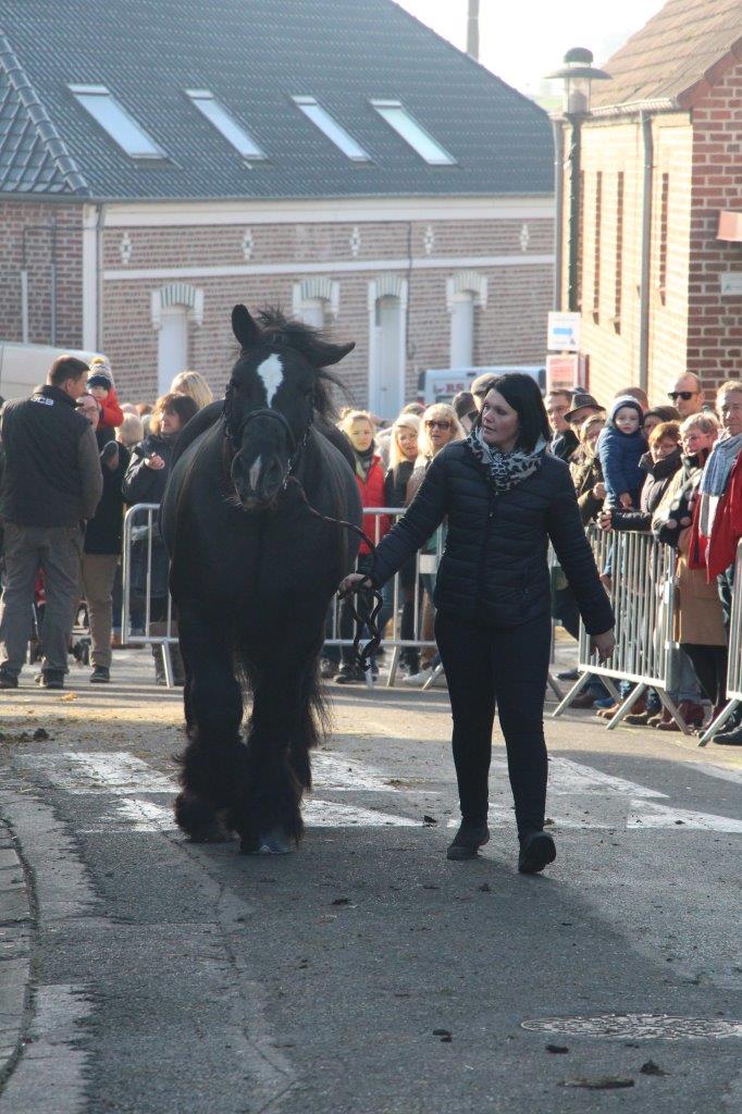 Foire aux Poulains (270)