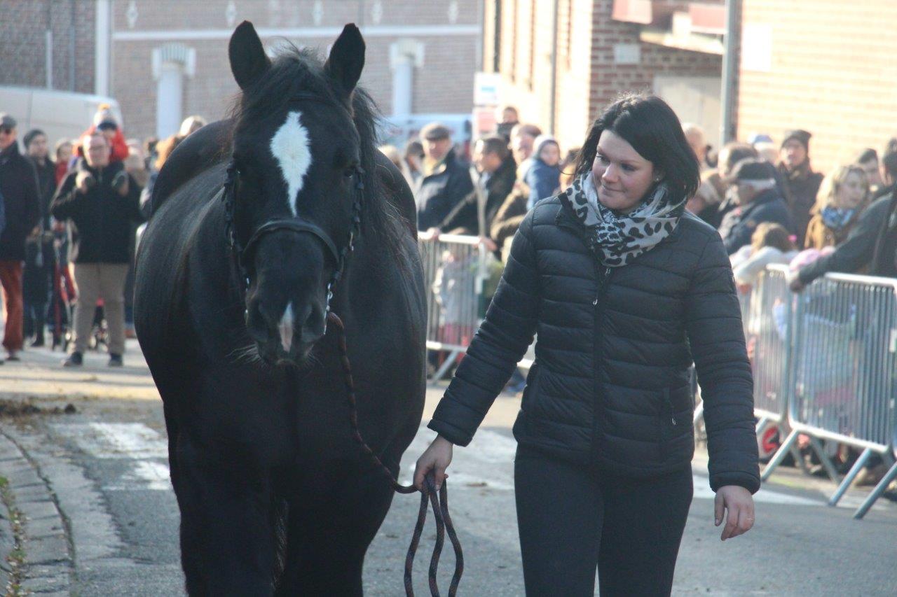 Foire aux Poulains (272)