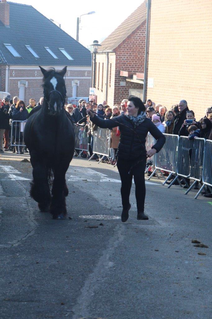 Foire aux Poulains (273)