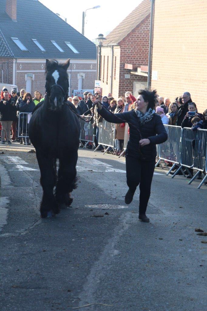 Foire aux Poulains (274)