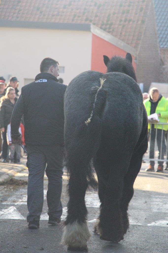 Foire aux Poulains (275)