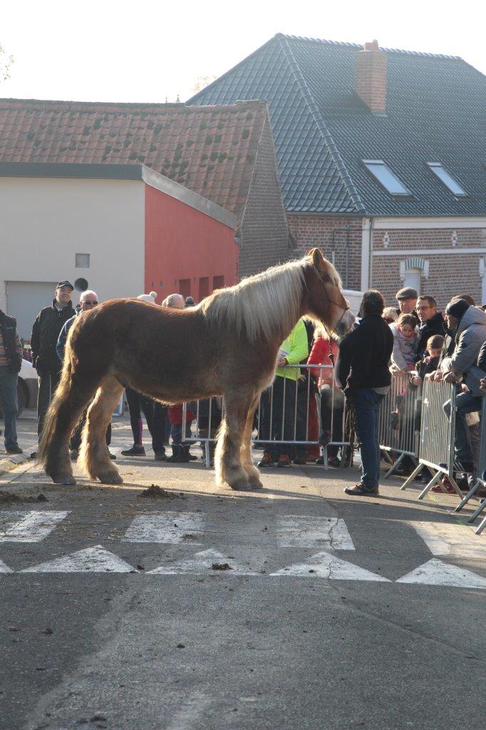 Foire aux Poulains (278)