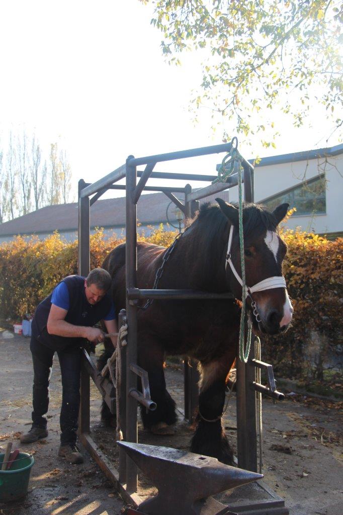 Foire aux Poulains (284)