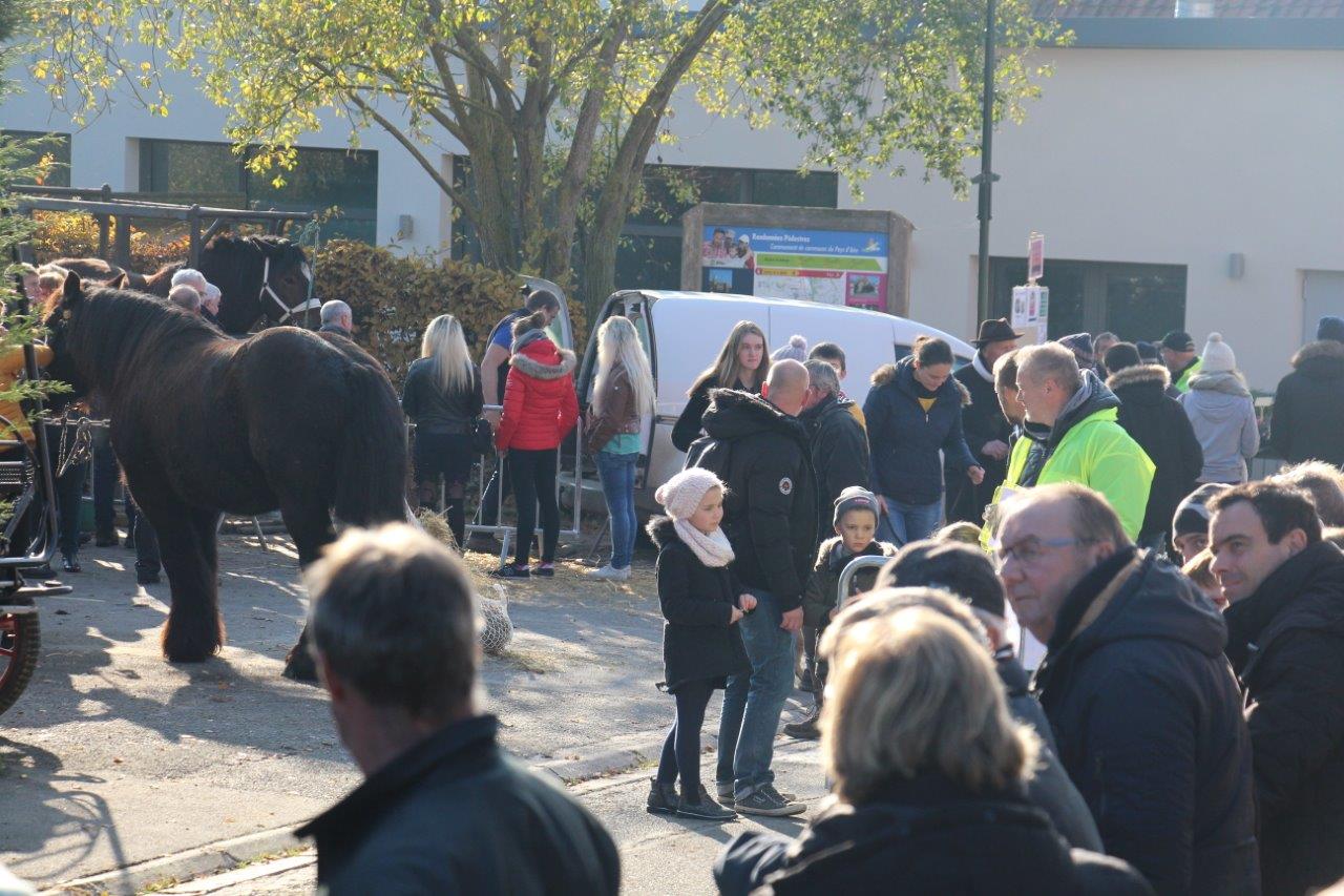 Foire aux Poulains (287)