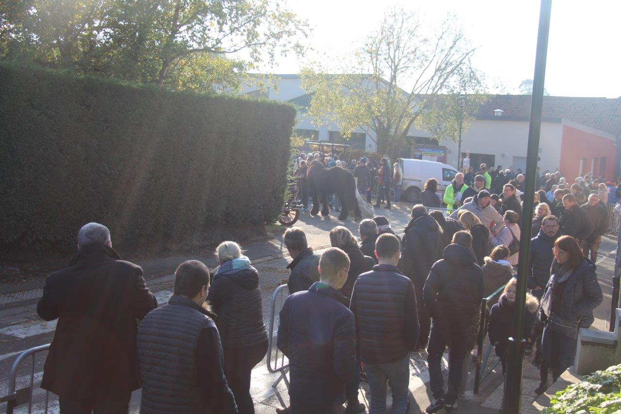 Foire aux Poulains (288)