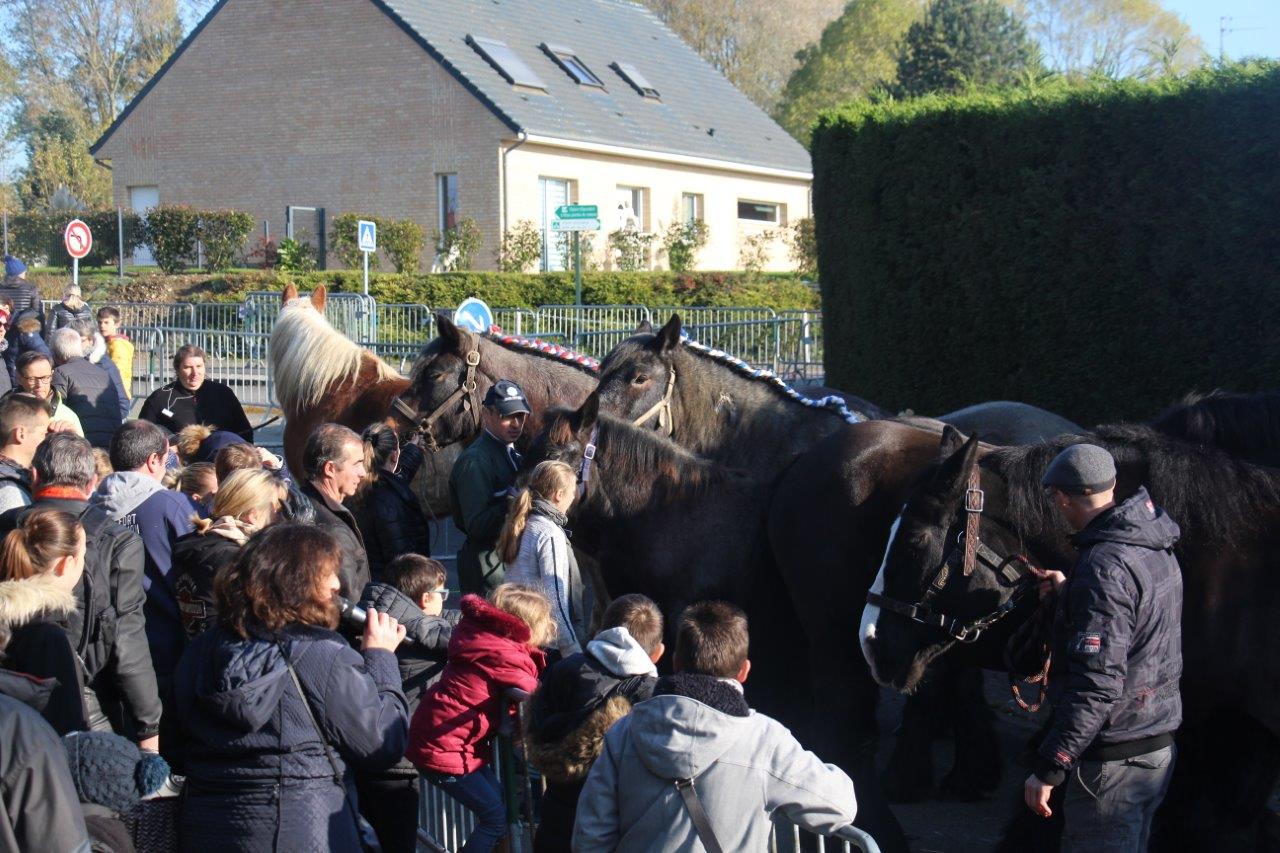 Foire aux Poulains (289)