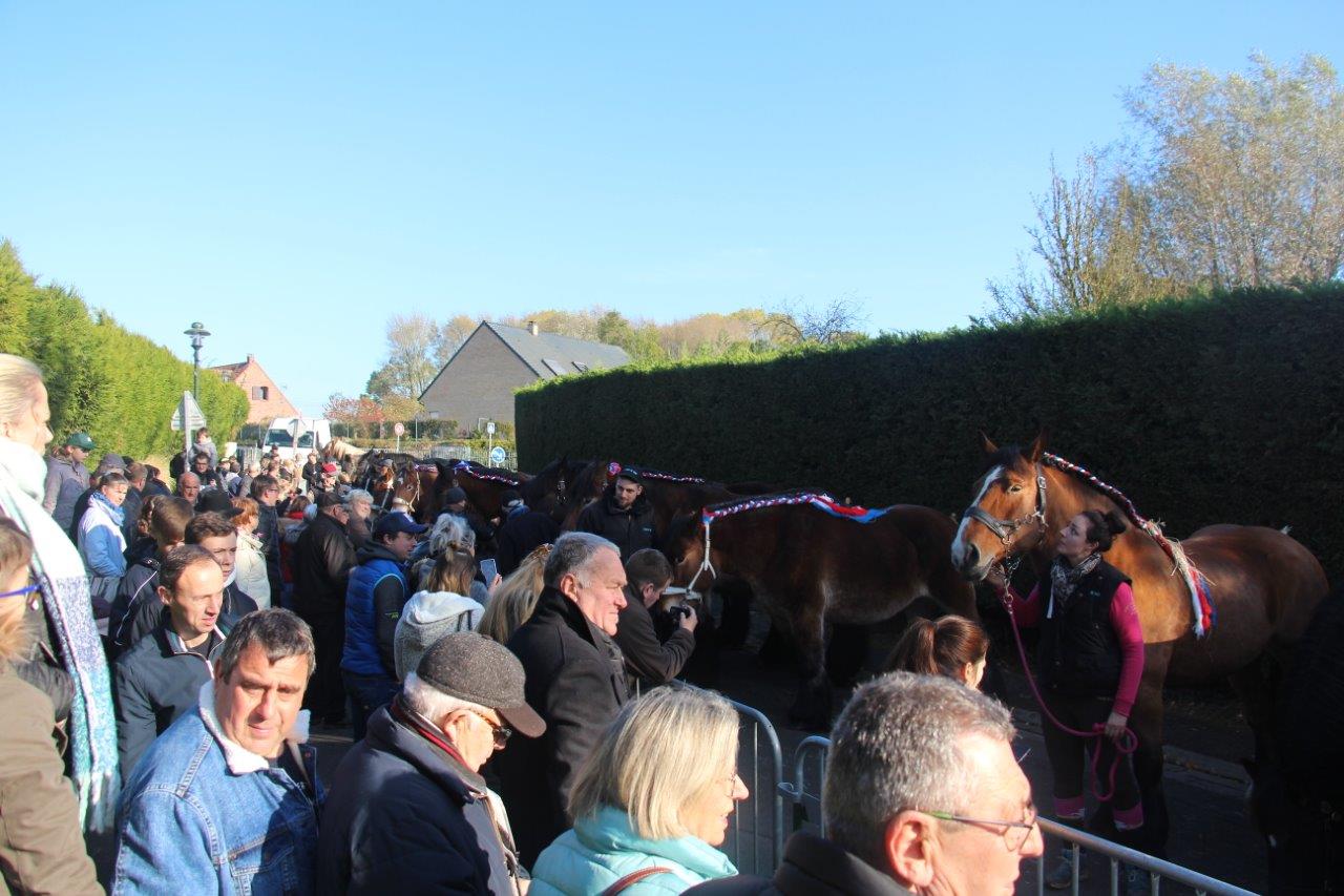 Foire aux Poulains (291)