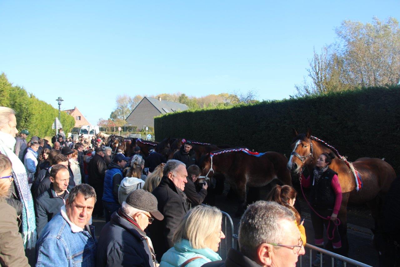 Foire aux Poulains (292)