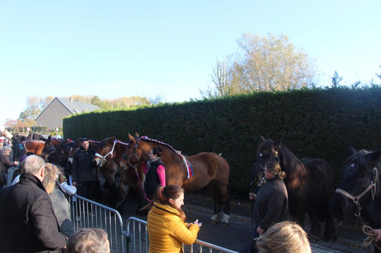 Foire aux Poulains (297)