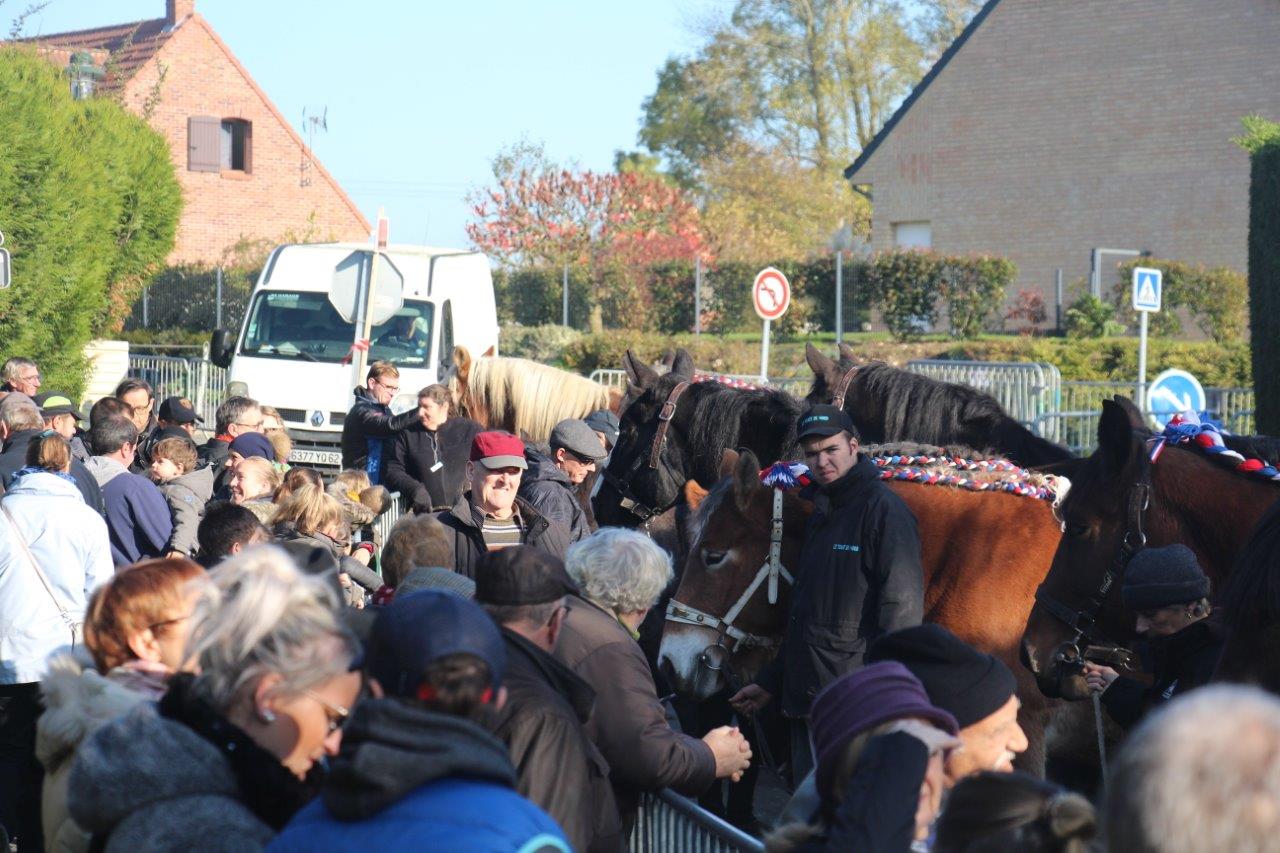 Foire aux Poulains (298)