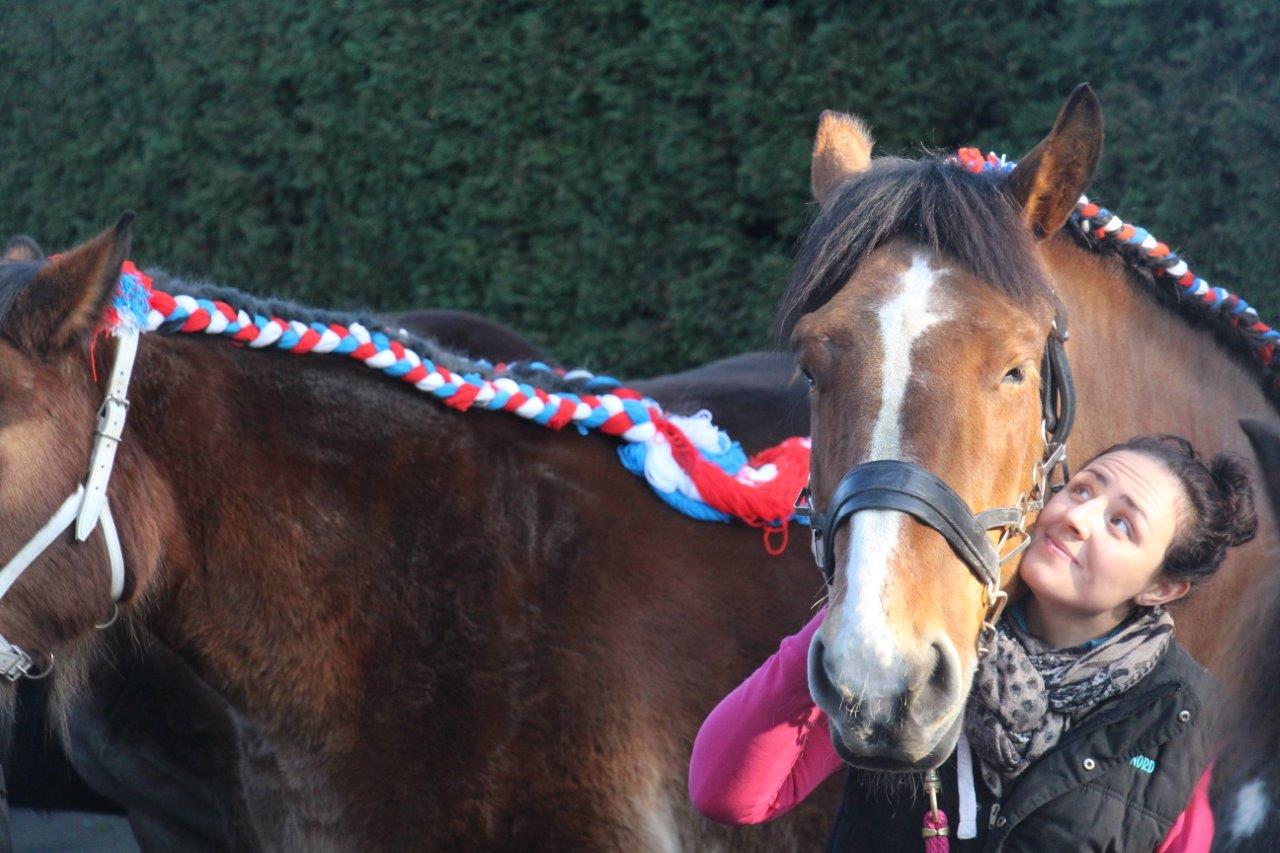 Foire aux Poulains (299)