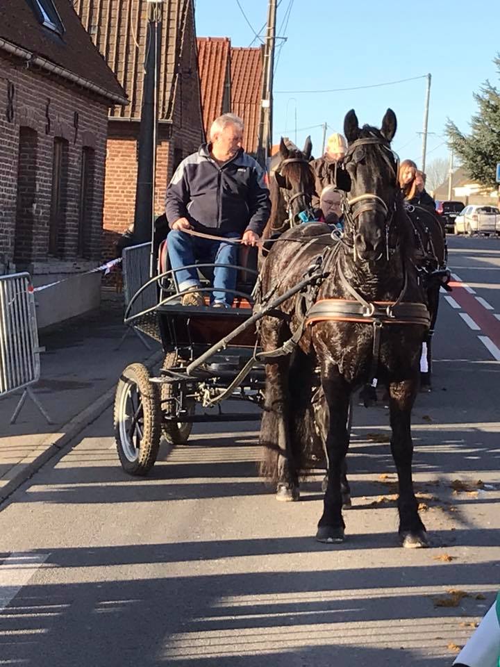 Foire aux Poulains_ 3