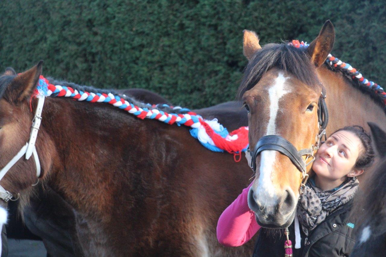 Foire aux Poulains (300)