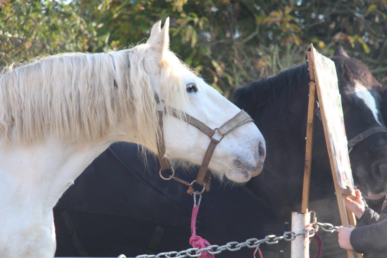 Foire aux Poulains (45)