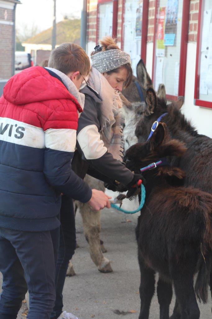 Foire aux Poulains (46)