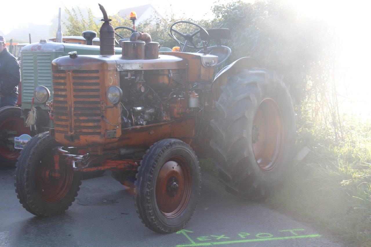 Foire aux Poulains (48)