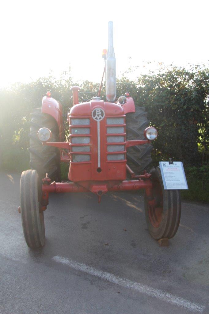 Foire aux Poulains (51)