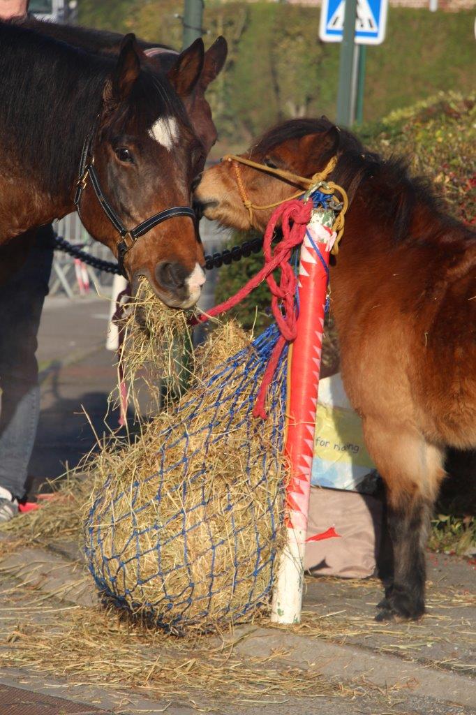 Foire aux Poulains (75)