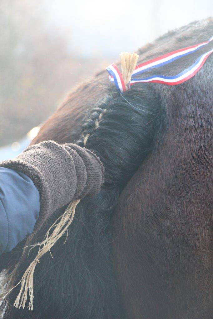 Foire aux Poulains (8)