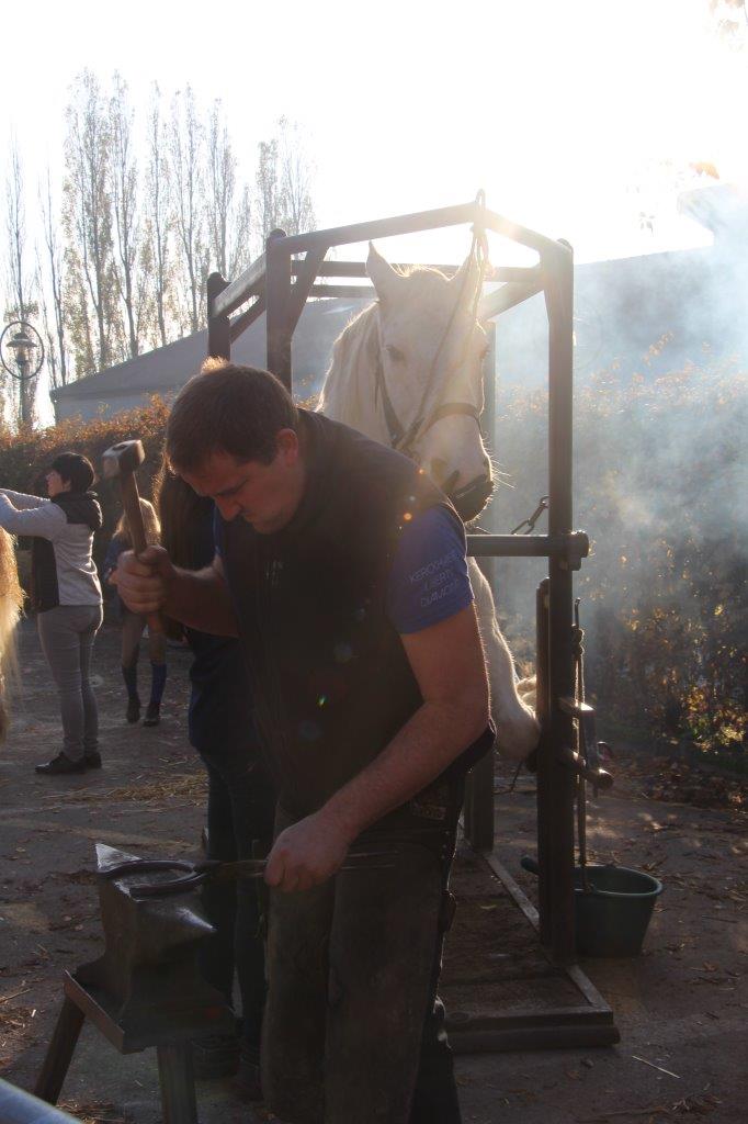 Foire aux Poulains (85)