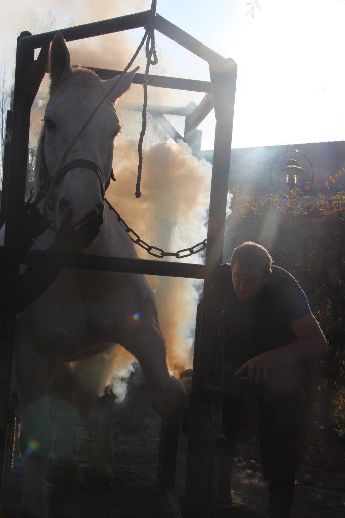 Foire aux Poulains (88)