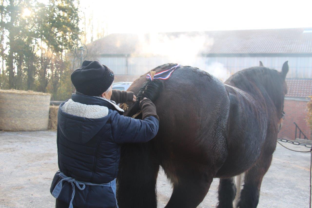 Foire aux Poulains (9)