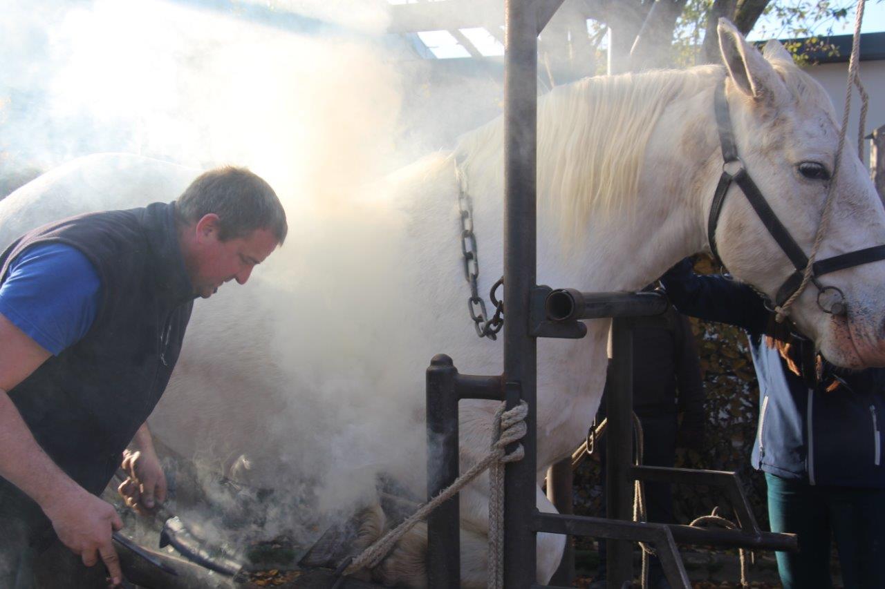 Foire aux Poulains (98)