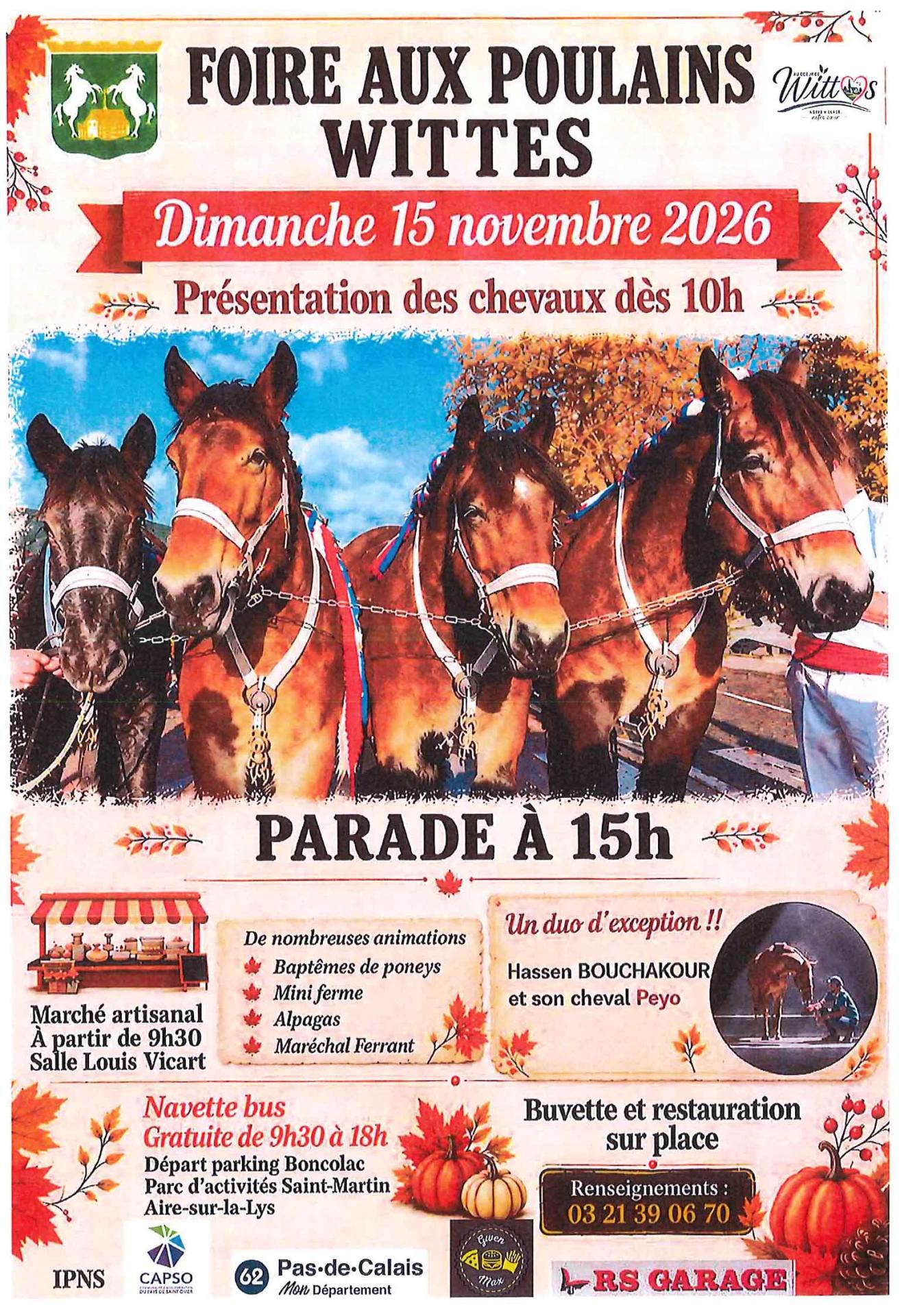 Foire aux poulains 15 novembre