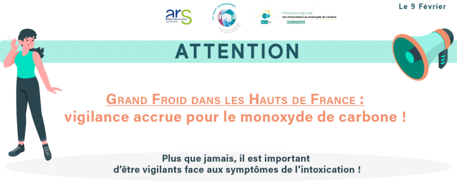 Intoxications au monoxyde de carbone - Ministère du travail, de la santé et  des solidarités